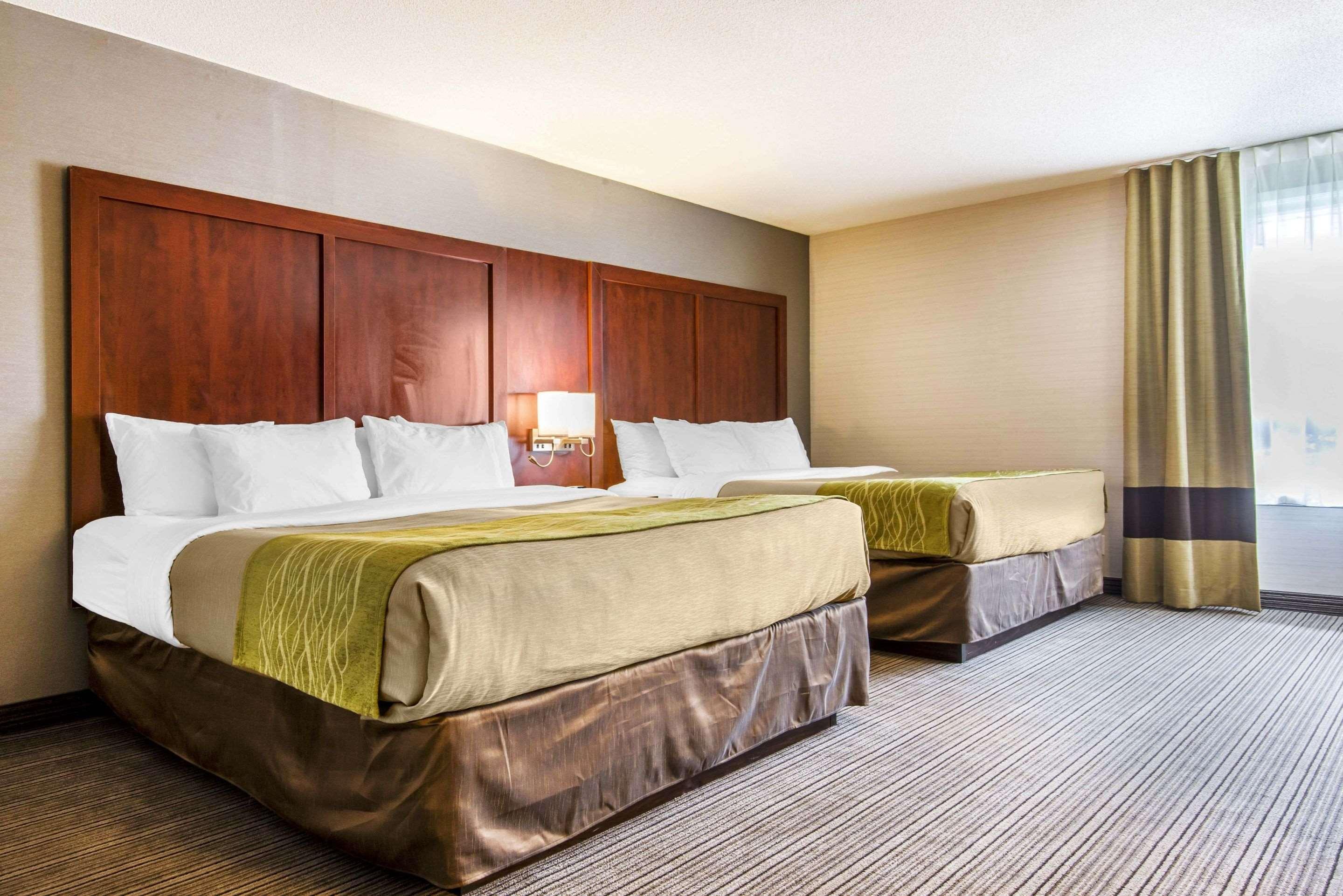 Comfort Inn & Suites Колінгвуд Екстер'єр фото