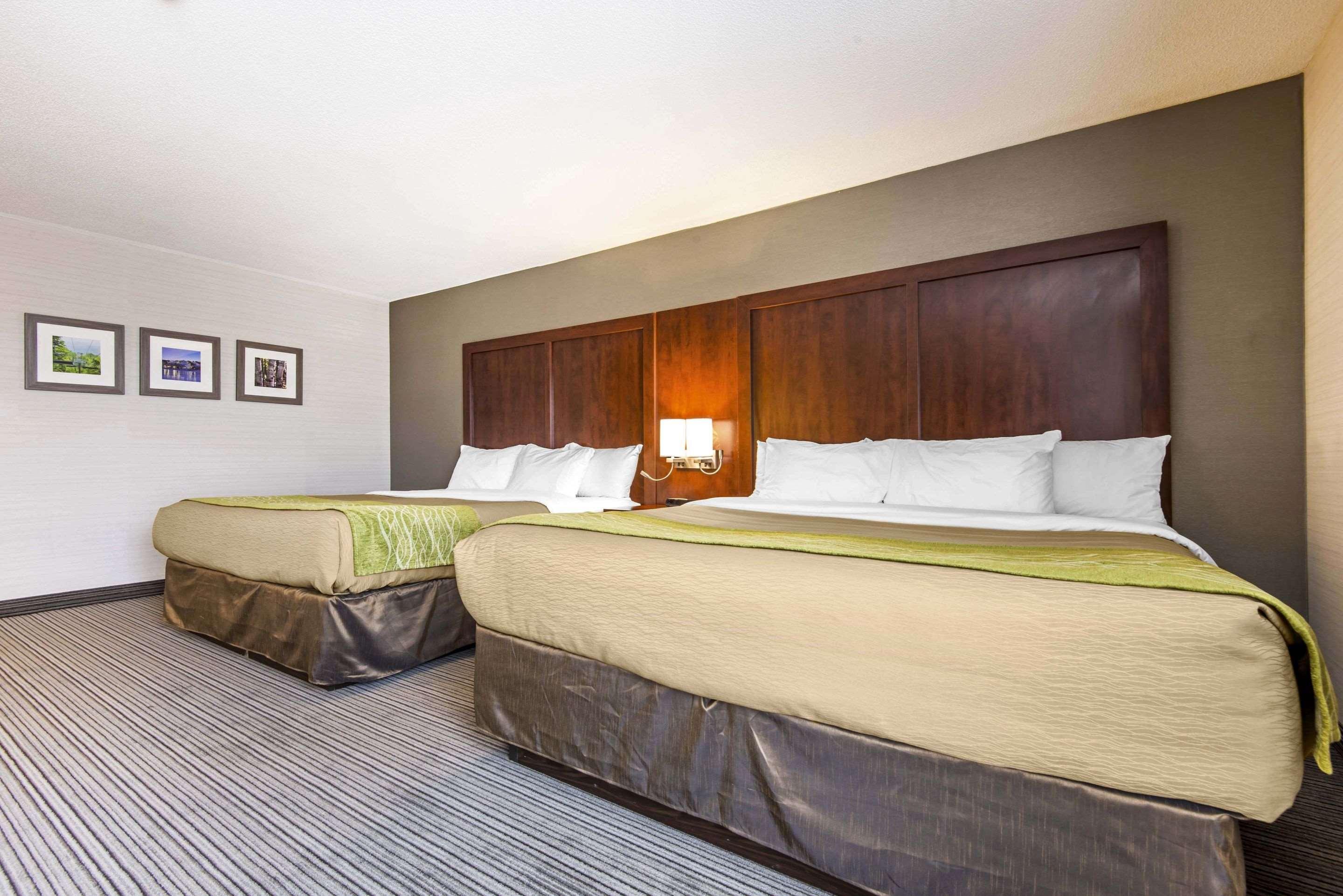 Comfort Inn & Suites Колінгвуд Екстер'єр фото