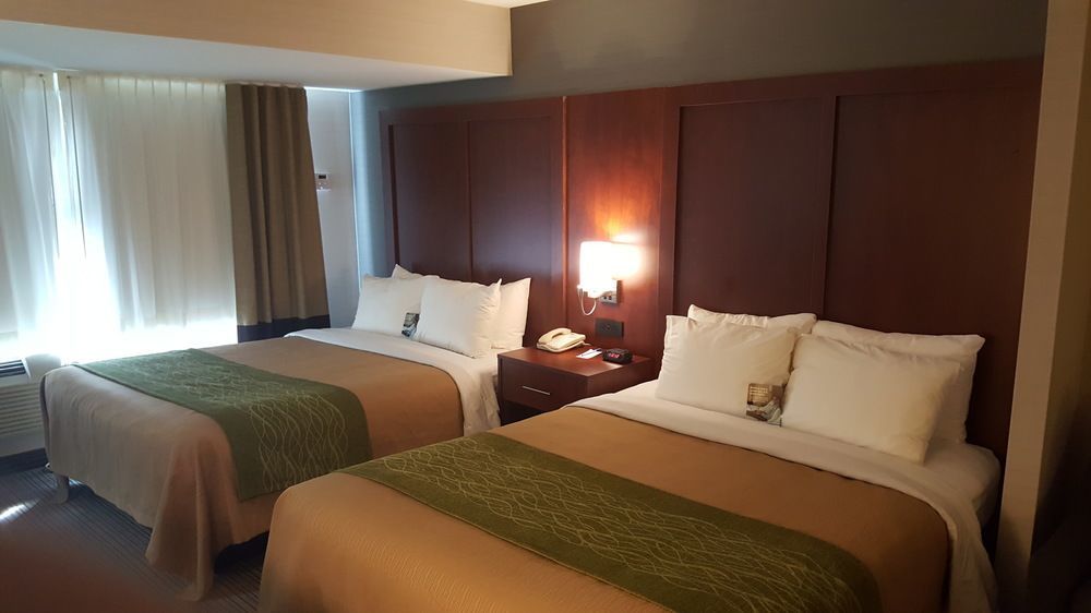 Comfort Inn & Suites Колінгвуд Екстер'єр фото