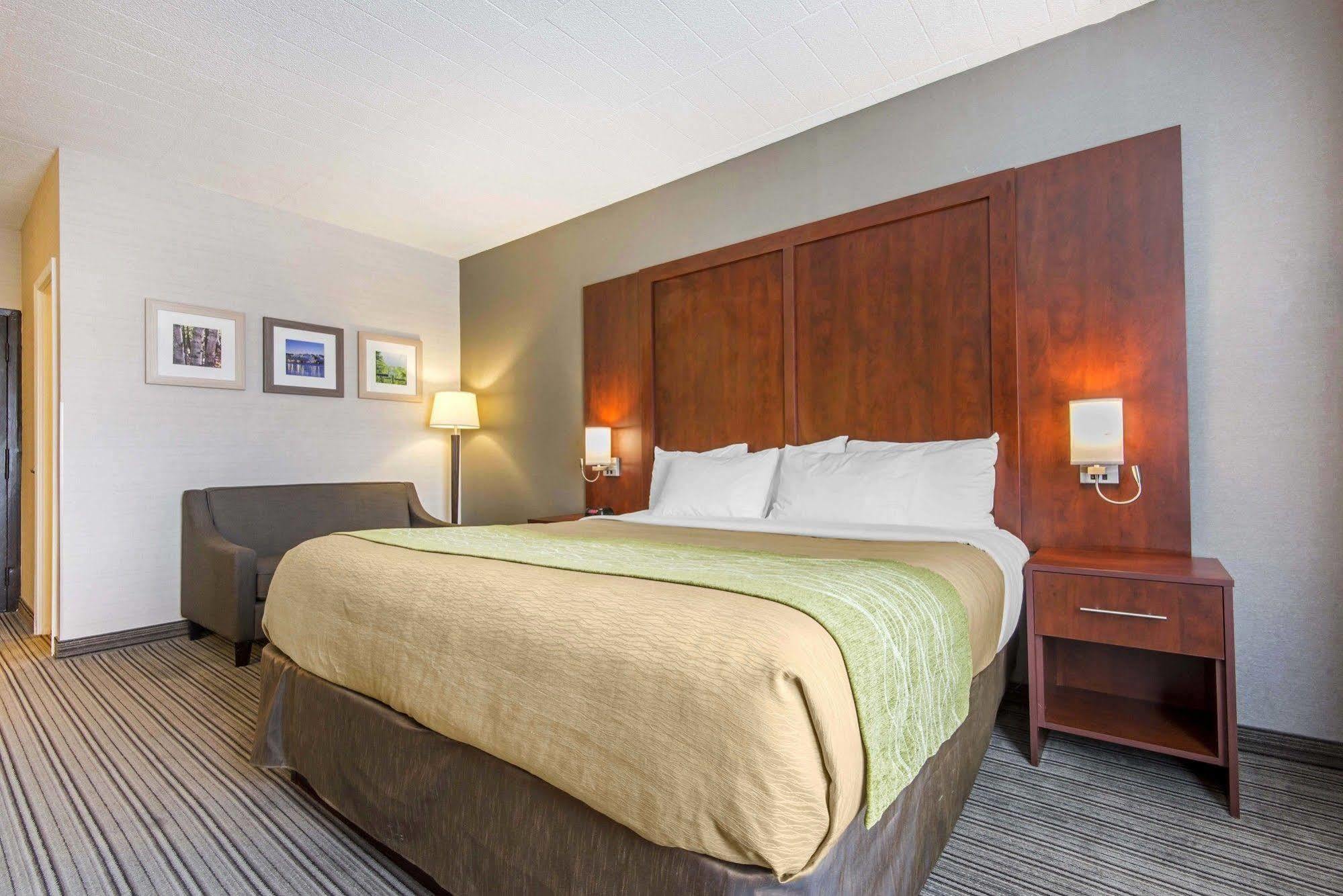 Comfort Inn & Suites Колінгвуд Екстер'єр фото